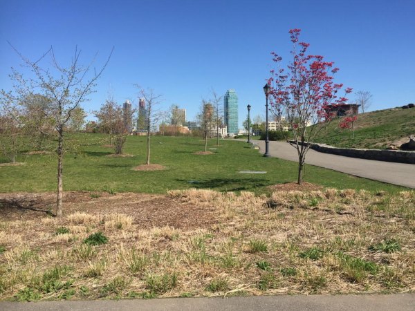 Will Changes "Enhance" or Diminish Southpoint Park? Southpoint Park When First Opened as Public Space